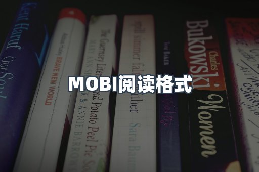 外文电子书系列